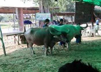 อารยธรรมเมืองสุพรรณบุรี